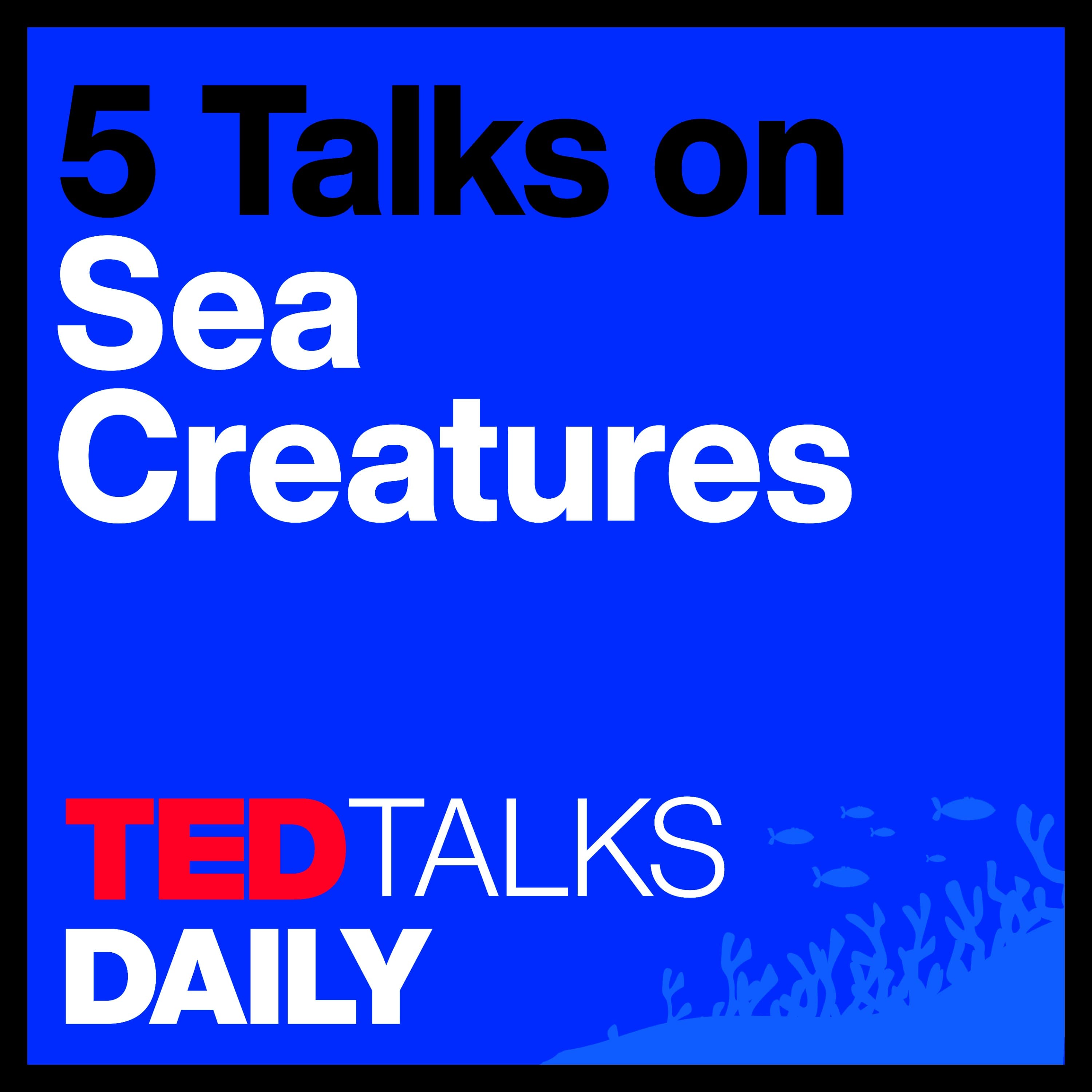 The Mystery of Sea Creatures (1/5): A coral reef love story | Ayana Elizabeth Johnson